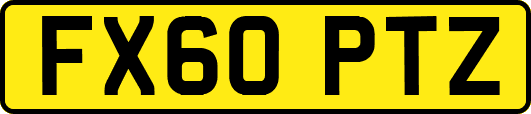 FX60PTZ