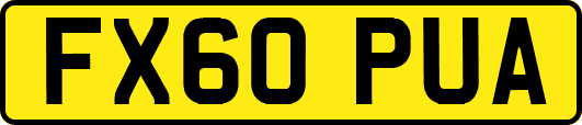 FX60PUA