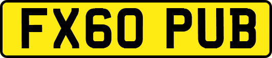 FX60PUB