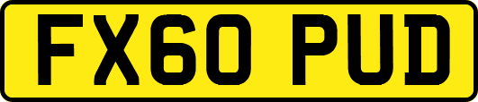 FX60PUD