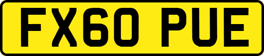 FX60PUE