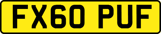 FX60PUF