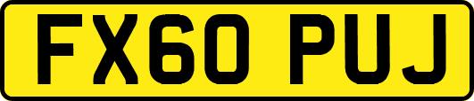 FX60PUJ