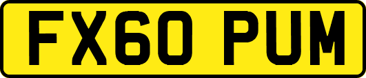 FX60PUM
