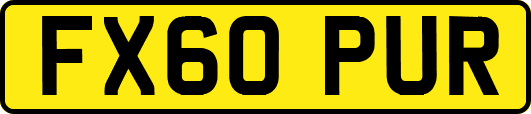 FX60PUR