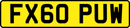 FX60PUW