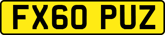 FX60PUZ