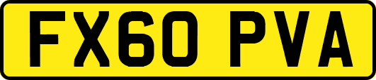 FX60PVA