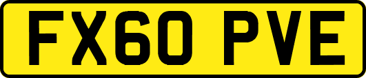 FX60PVE
