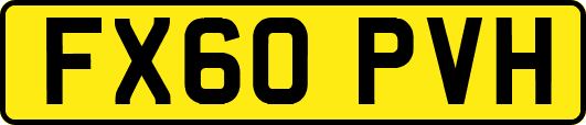FX60PVH