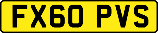 FX60PVS