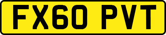 FX60PVT
