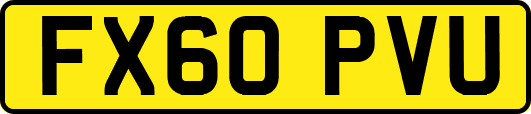 FX60PVU