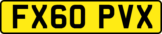 FX60PVX