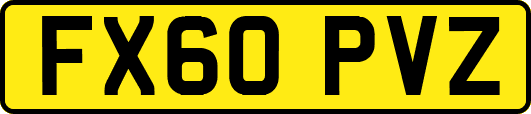 FX60PVZ