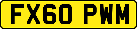 FX60PWM