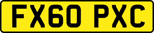 FX60PXC
