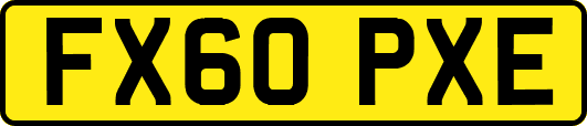 FX60PXE