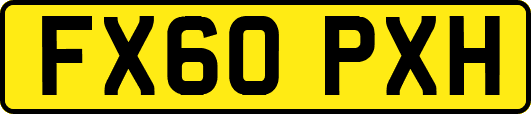 FX60PXH
