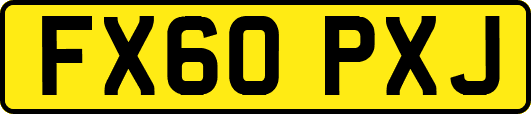 FX60PXJ