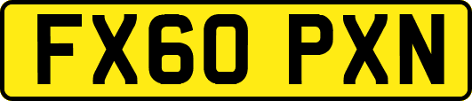FX60PXN