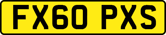 FX60PXS