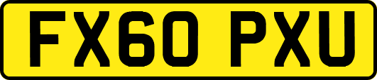 FX60PXU