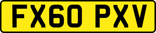 FX60PXV