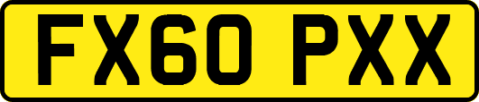 FX60PXX