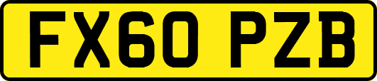 FX60PZB
