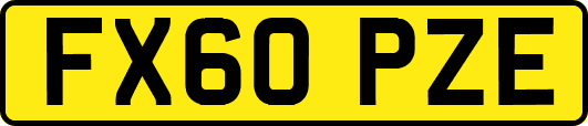 FX60PZE