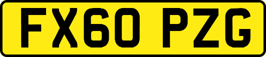 FX60PZG