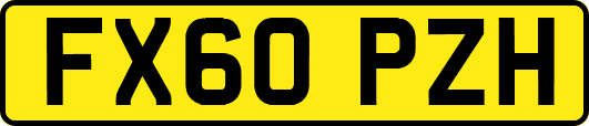 FX60PZH
