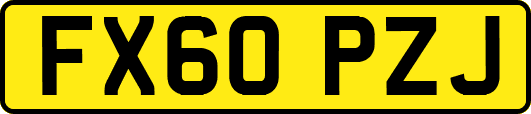 FX60PZJ
