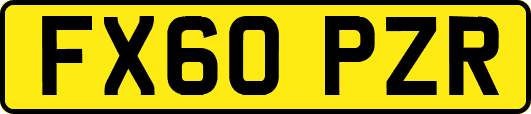 FX60PZR