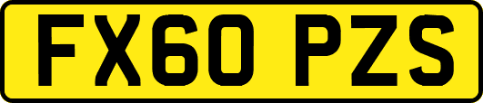 FX60PZS