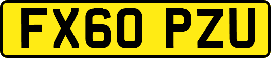 FX60PZU