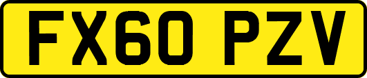 FX60PZV