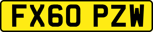 FX60PZW