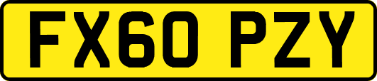 FX60PZY