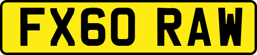 FX60RAW