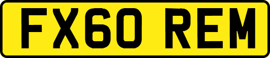 FX60REM