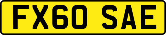 FX60SAE