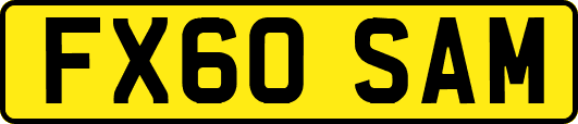 FX60SAM