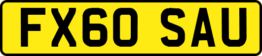 FX60SAU