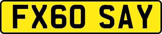 FX60SAY