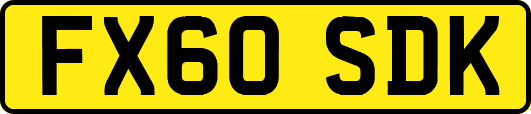 FX60SDK