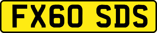 FX60SDS
