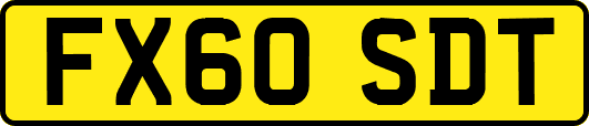 FX60SDT