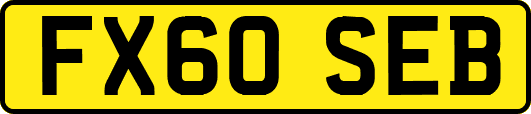 FX60SEB